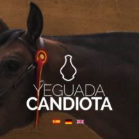 Web Yeguada Candiota